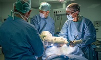 International Childhood Cancer Day: boy makes full recovery one year after brain-tumor discovery