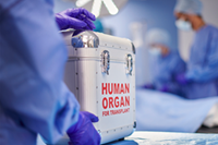 Mayo Clinic discovery could mean better access to more donor hearts and improved transplant outcomes 