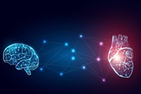 The brain-heart connection: Mayo Clinic expert explains a powerful impact that works both ways