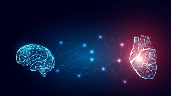 The brain-heart connection: Mayo Clinic expert explains a powerful impact that works both ways